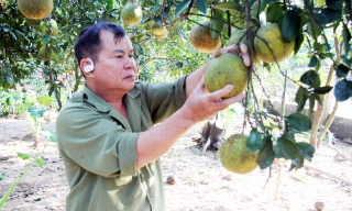 Gương sáng làm giàu ở Tân Thành 