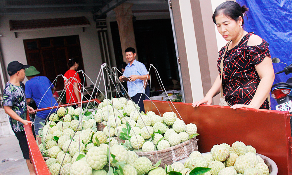  Lục Nam: Khai thác tiềm năng, phát triển sản phẩm OCOP