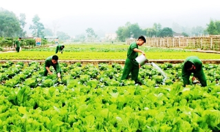 Sư đoàn 325: Thi đua “Một tập trung - Ba khâu đột phá” trong bảo đảm hậu cần