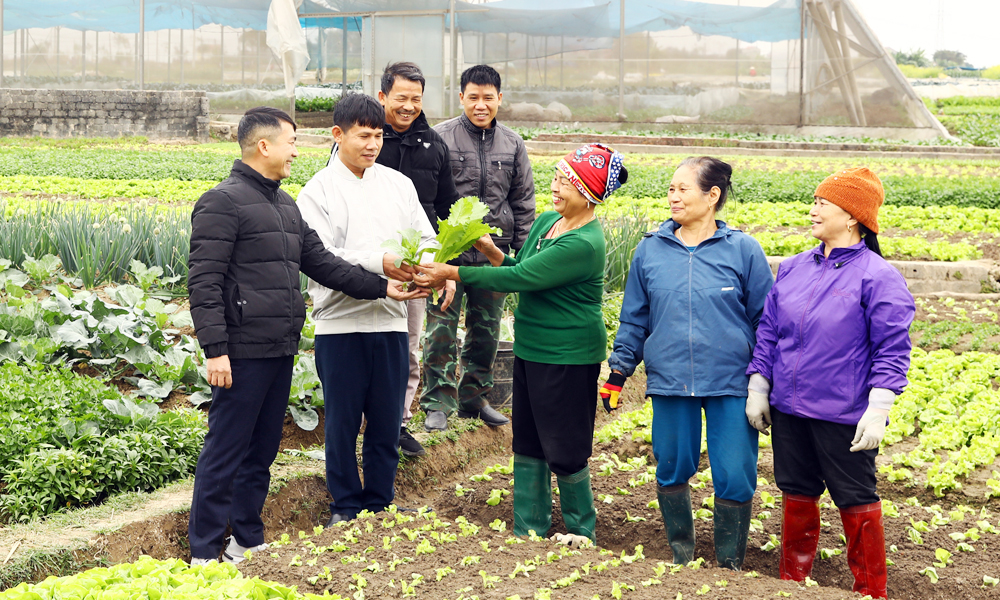  Hiệp Hòa: Kinh nghiệm lãnh đạo của các chi bộ tiêu biểu