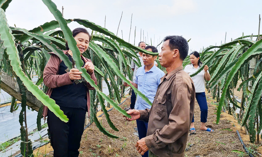  Sinh hoạt chi bộ chuyên đề ở Lục Nam: Bám sát nhiệm vụ trọng tâm, rõ người thực hiện