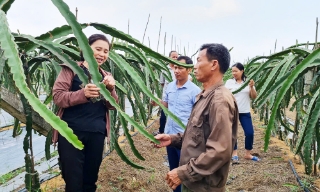 Sinh hoạt chi bộ chuyên đề ở Lục Nam: Bám sát nhiệm vụ trọng tâm, rõ người thực hiện