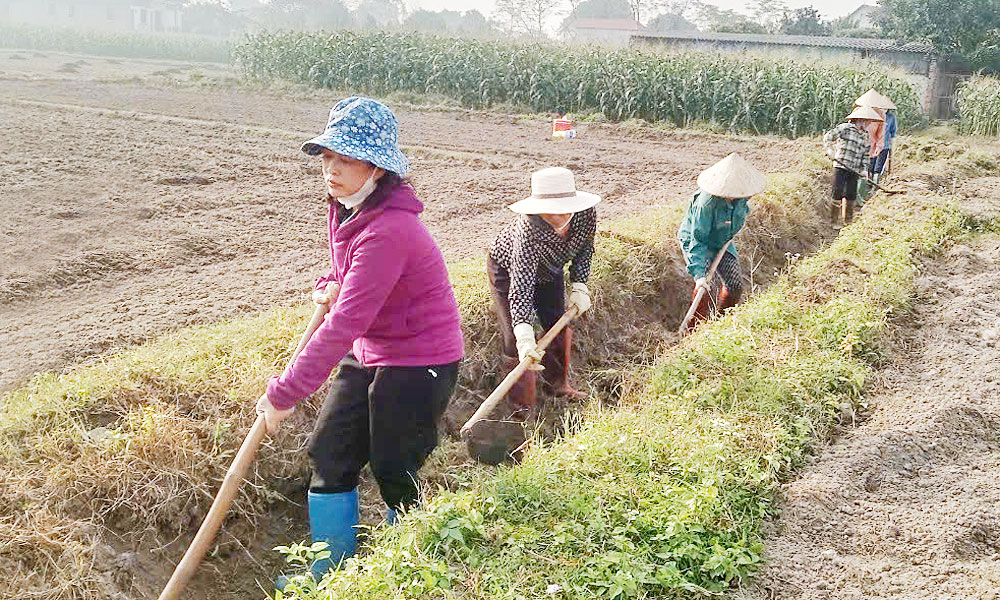  Sáng tạo gây quỹ, tiếp sức hội viên phụ nữ