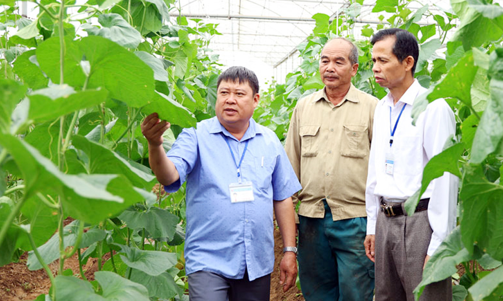  Thực hiện chính sách "tam nông": Nâng giá trị sản xuất nông nghiệp