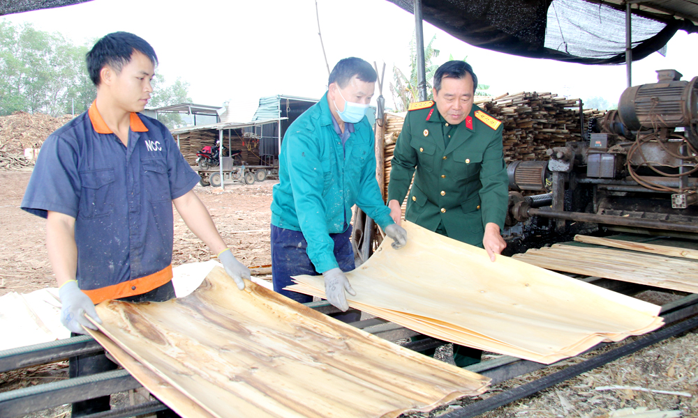  Yên Thế: Cựu chiến binh nêu gương phát triển kinh tế 