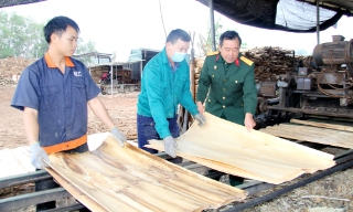 Yên Thế: Cựu chiến binh nêu gương phát triển kinh tế 