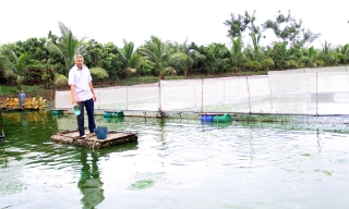 Sản xuất nông nghiệp tuần hoàn: Nâng giá trị kinh tế, bảo vệ môi trường