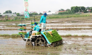 Xây dựng thôn thông minh: Ứng dụng hiệu quả công nghệ mới