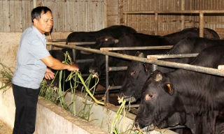 Ứng dụng công nghệ sinh học, phát triển nông nghiệp an toàn