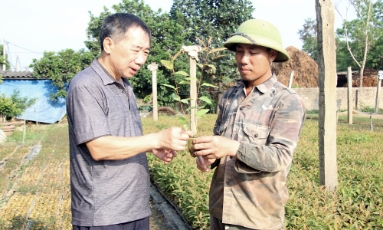  Tin tức - Sự kiện