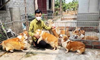 Quỹ Hỗ trợ phát triển hợp tác xã: Vay đúng, dùng khéo