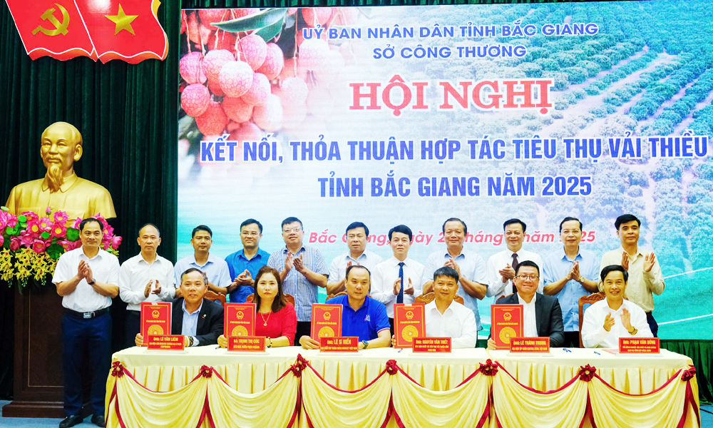  Bắc Giang: Đa dạng kênh tiêu thụ, đưa vải thiều vươn xa