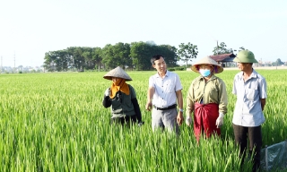 Những hạt nhân tiêu biểu trên quê hương cách mạng
