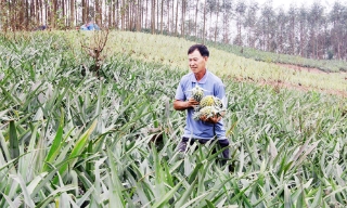 Phát huy hiệu quả hoạt động nghiên cứu khoa học 