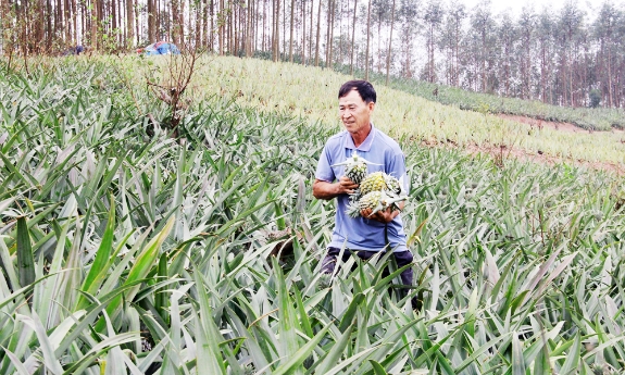 Phát huy hiệu quả hoạt động nghiên cứu khoa học 