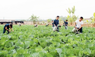 Lính phòng không “Tăng gia giỏi, nuôi quân tốt” 