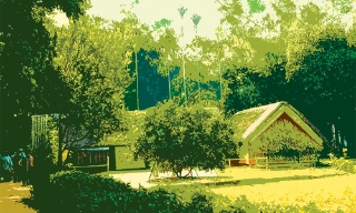 Về lại làng Sen