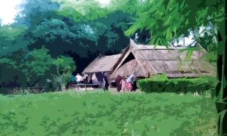 Mùa sen hồng quê Bác 