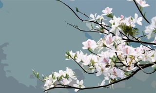 Về Tây Bắc hôm nay