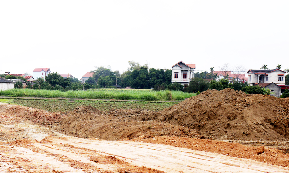  Chuyển mục đích sử dụng đất thực hiện dự án khu đô thị số 3 xã Thái Đào