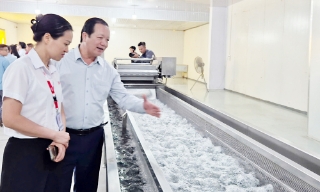 Ủy quyền mã số vùng trồng, cơ sở đóng gói: Tạo đà cho nông sản vươn xa