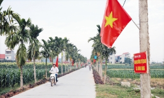 Tân Yên: Củng cố bền vững các tiêu chí  nông thôn mới