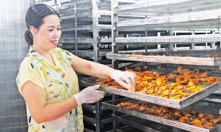 Ứng dụng công nghệ - chìa khóa hỗ trợ hợp tác xã phát triển