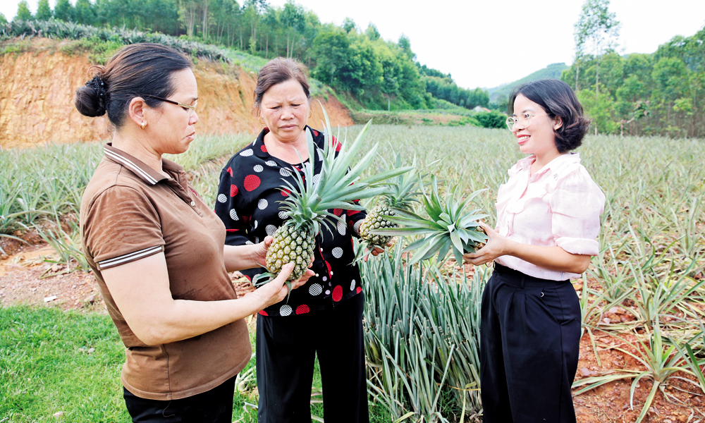  Phân công nhiệm vụ cho đảng viên: Đúng người, rõ việc, phát huy sức mạnh tập thể