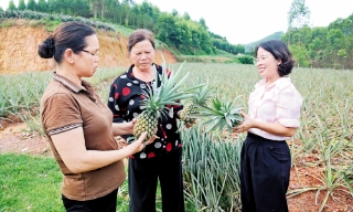 Phân công nhiệm vụ cho đảng viên: Đúng người, rõ việc, phát huy sức mạnh tập thể
