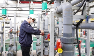 Nhân Ngày Môi trường thế giới 5/6: Giữ môi trường xanh, sạch