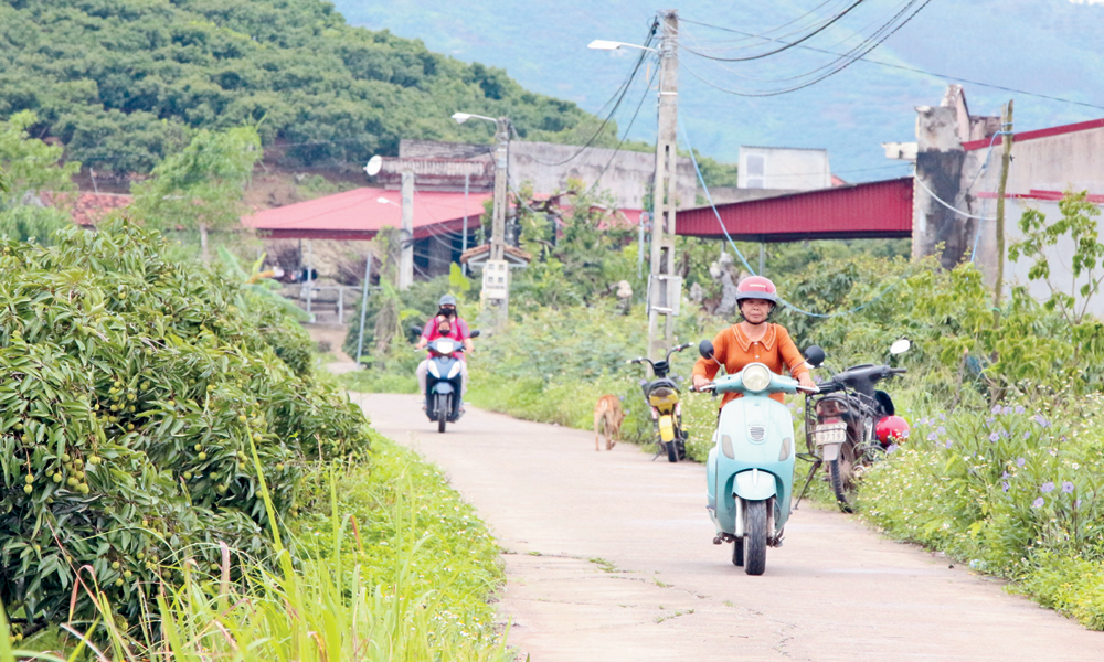  Khơi sức trẻ phục vụ cộng đồng