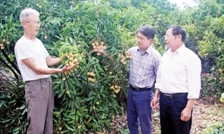 Làm theo Bác, chi bộ vững mạnh  