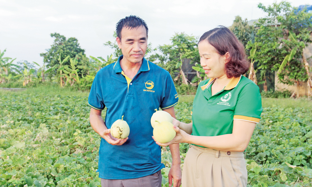  Cho đồng ruộng thêm xanh