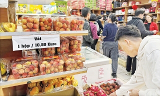 Chinh phục các thị trường bằng chất lượng nông sản