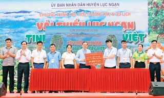 Đa dạng kênh tiêu thụ vải thiều, giám áp lực mùa vụ