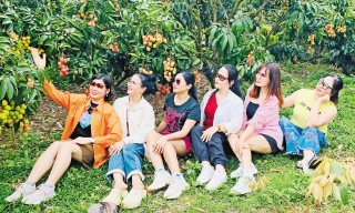 Nhà vườn hút khách tham quan
