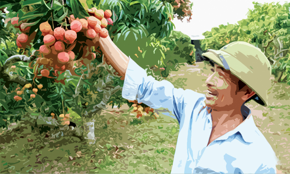  Về lại vùng đồi