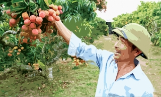 Về lại vùng đồi