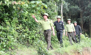 Phía sau những cánh rừng kinh tế:  Bài 2 - Lợi trước mắt, ảnh hưởng dài lâu