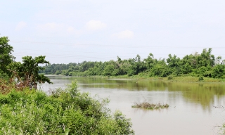 Tập trung xử lý sự cố sạt lở bờ, bãi sông tại tuyến đê tả Cầu (Hiệp Hòa)