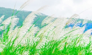 Ngang qua miền cũ