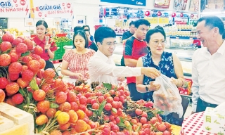 Nhiều giải pháp sáng tạo trong xúc tiến tiêu thụ vải thiều
