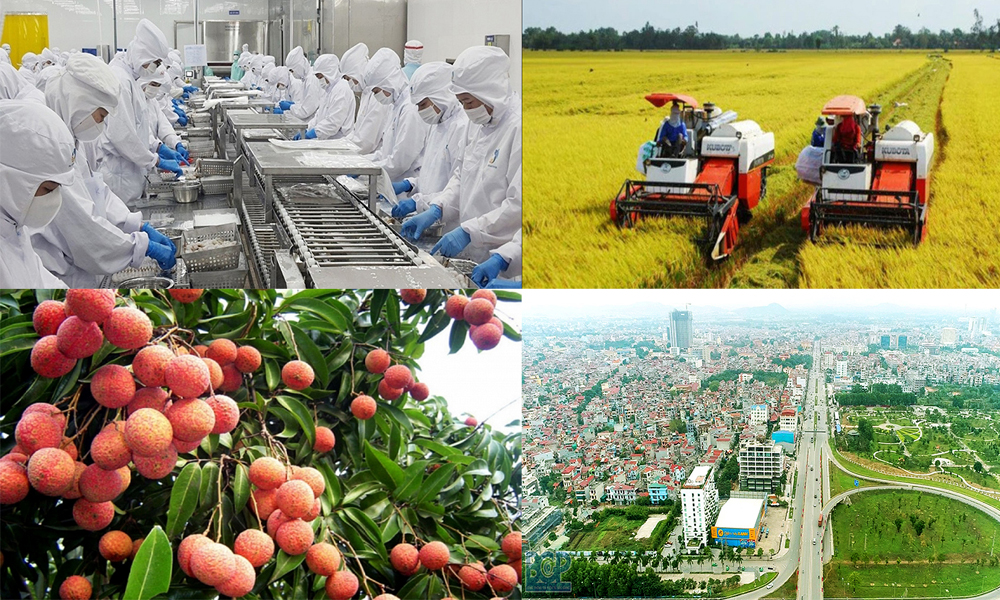  Thực hiện Đề án bổ sung về phát triển kinh tế - xã hội năm 2025 với mục tiêu tăng trưởng 8% trở lên