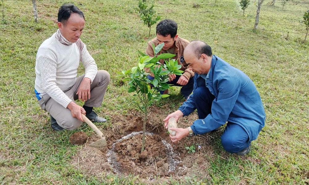  Bắc Giang cử kỹ sư sang tỉnh Xay Sổm Bun (Lào) hỗ trợ nông dân trồng rau trong nhà lưới