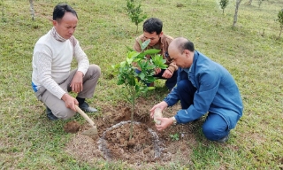 Bắc Giang cử kỹ sư sang tỉnh Xay Sổm Bun (Lào) hỗ trợ nông dân trồng rau trong nhà lưới