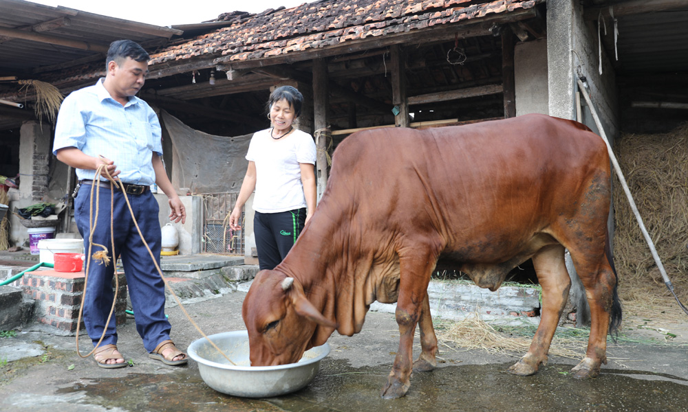 Lạng Giang: Tăng cường đối thoại, kịp thời hỗ trợ hộ nghèo