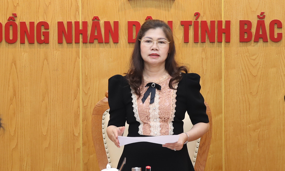 Đảng ủy HĐND tỉnh Bắc Giang thẩm định, thẩm tra một số dự thảo báo cáo