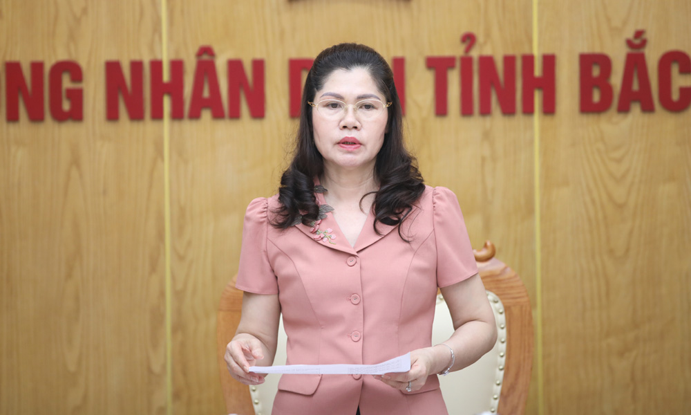 Đảng đoàn HĐND tỉnh Bắc Giang thẩm tra, thẩm định một số nội dung