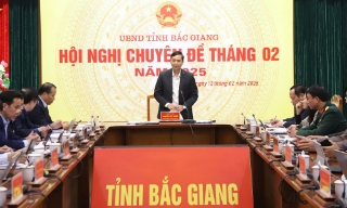 UBND tỉnh Bắc Giang: Hội nghị chuyên đề về tinh gọn bộ máy