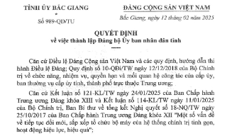 Thành lập Đảng bộ UBND tỉnh Bắc Giang với hơn 6 nghìn đảng viên